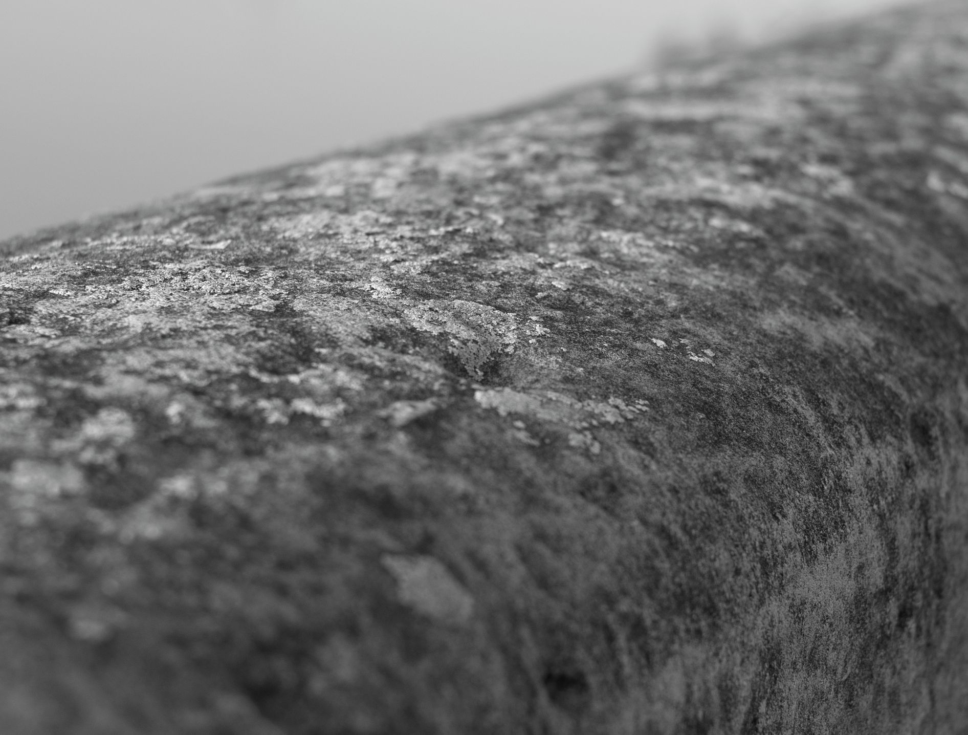 Subiektywnie o Leica M Monochrom Typ 246 41