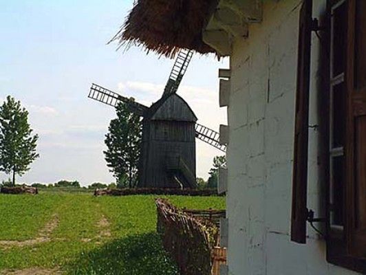 Obraz