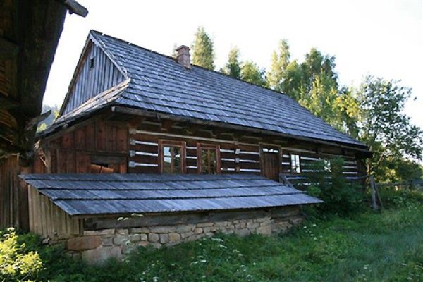 Obraz