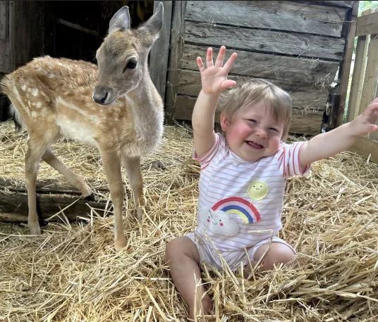 Uroczy duet zachwycił internautów