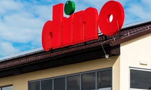Dino warte więcej niż Carrefour. Polska sieć wyprzedza francuskiego giganta