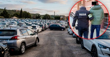 Wyłudzali odszkodowania. Mieli pomoc ubezpieczycieli