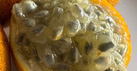 Wielu o niej nie słyszało. Chroni przed zawałem i obniża cholesterol
