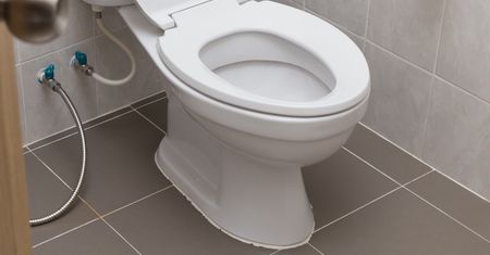 Owiń muszlę i spuść wodę. Pozbędziesz się problemu w kilka sekund