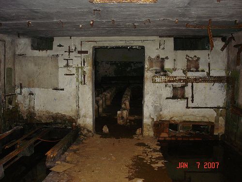 391905668679418121