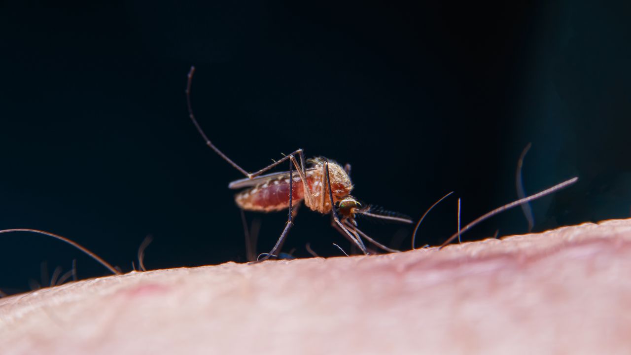 Trudna sytuacja. Wzrostowi zgonów winne zmiany klimatyczne