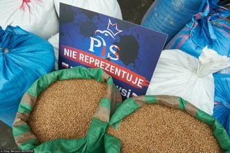 Kryzys na rynku zbóż. "Będziemy po nim sprzątać przez kilka lat"