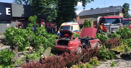 Żywiec. Drzewo runęło na jadący samochód. Matka z córką trafiły do szpitala