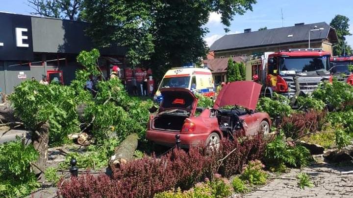 Żywiec. Potężne drzewo runęło na przejeżdżający samochód.