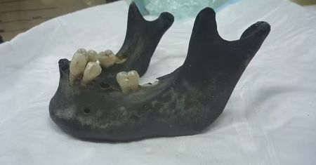 Na plaży znaleziono ludzkie szczątki. Stoi za nimi smutna historia