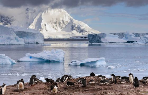 Naukowcy odkryli jezioro wielkości miasta pod pokrywą lodową na Antarktydzie