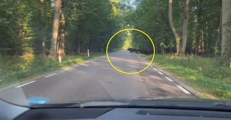 Wracał do domu. Dobrze, że wszystko nagrywał