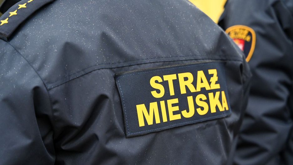 Fot. ddwloclawek.pl / siecportali.pl