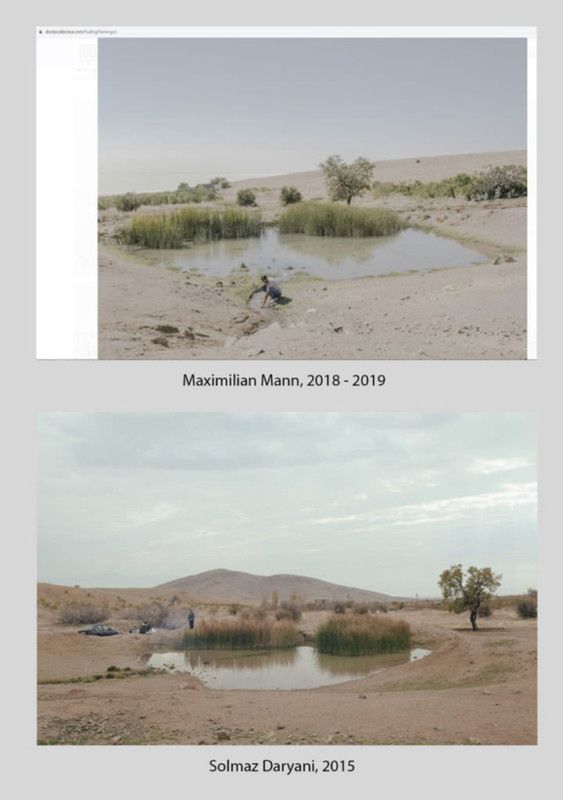 Czy Maximillian Mann splagiatował projekt na World Press Photo 2020? 11