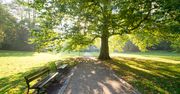 Olsztyn: Piękny park z zielenią i miejscem do relaksu. Kilka minut spacerem od starówki