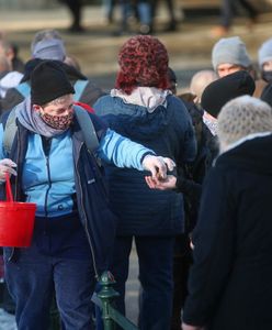 Porażający raport. Była wiceminister oskarża PiS