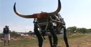 Wideo: BigDog zmieniony w byka może być groźną bronią