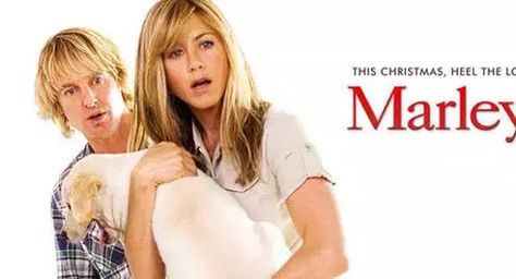 Powstanie serial "Marley i Ja" oparty na filmie pod tym samem tytułem