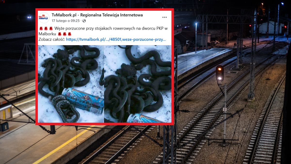 Ktoś porzucił węże tuż przy peronie? 