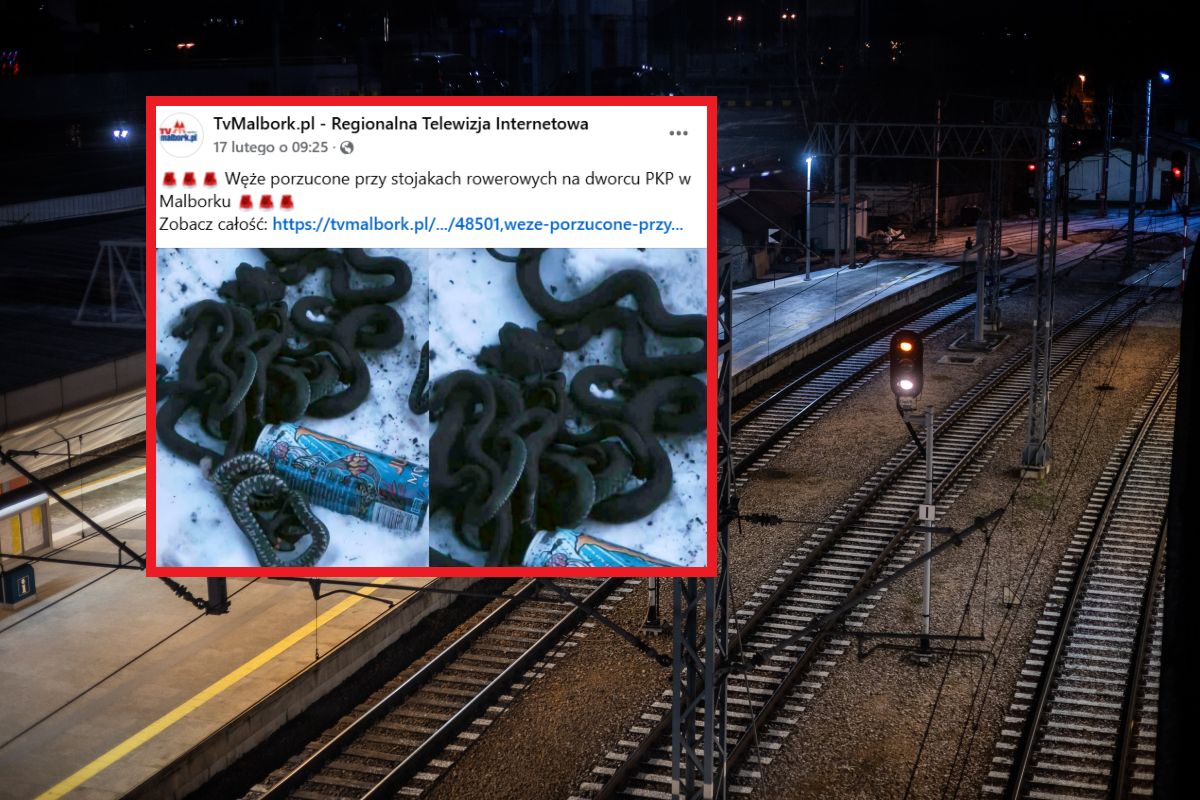 Taki widok na stacji PKP w Malborku. Sprawą zajmuje się policja