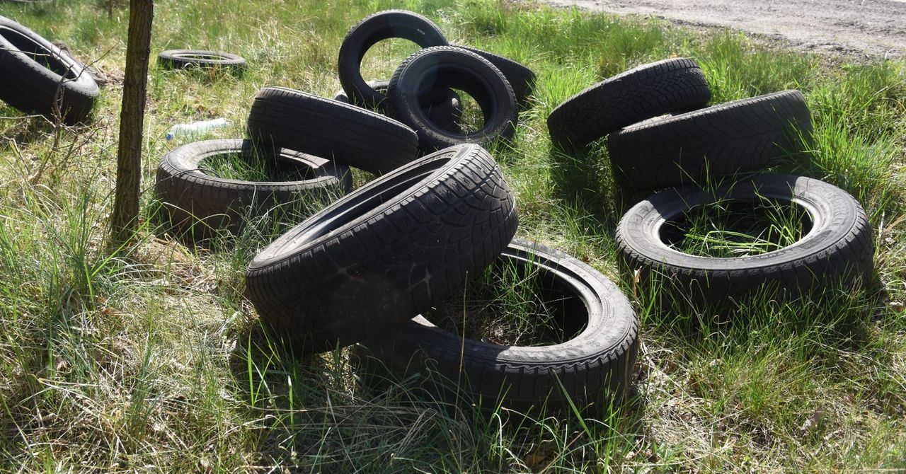 Popularny patent na kiszonkę jest nielegalny bez zezwolenia. Czekają kary