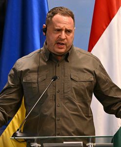 Zełenski bez wiceprezydenta [OPINIA]