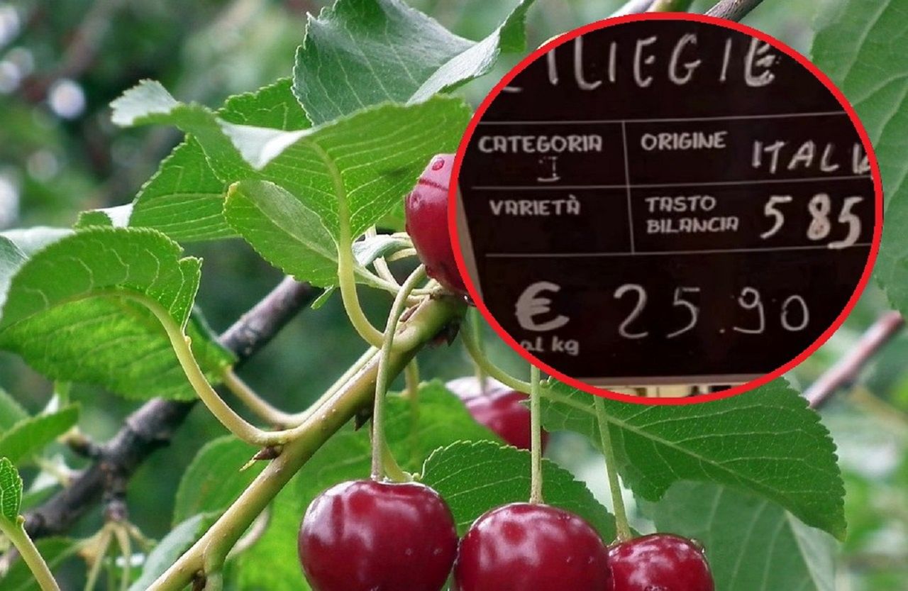 Cherries in Italy are breaking price records. Blame the drought.