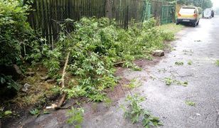 Śląskie. Burze nad woj. śląskim, liczne interwencje straży