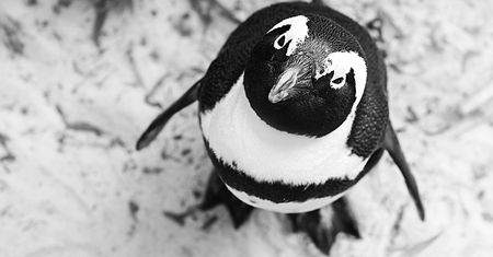Linux 5.6 wydany: WireGuard VPN wreszcie w mainline, wstępne wsparcie USB4