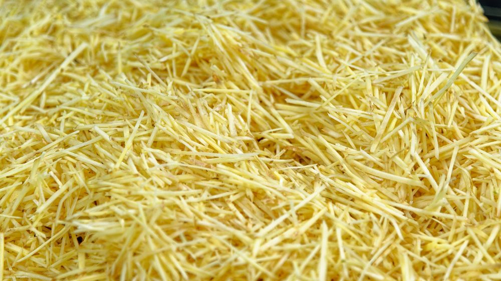 Dlaczego warto jeść imbir?