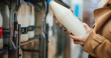 Które mleko jest najzdrowsze? Na to zwróć uwagę w sklepie