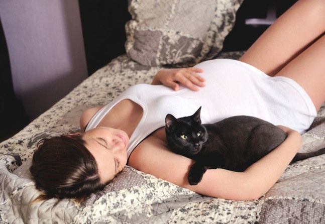 Nie można głaskać kotów w czasie ciąży
