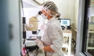 Jak dobrze znasz świat nauki? Sprawdź wiedze w krzyżówce