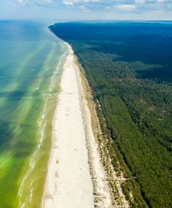 "Atomowy król jest nagi". Ekolodzy ostrzegają