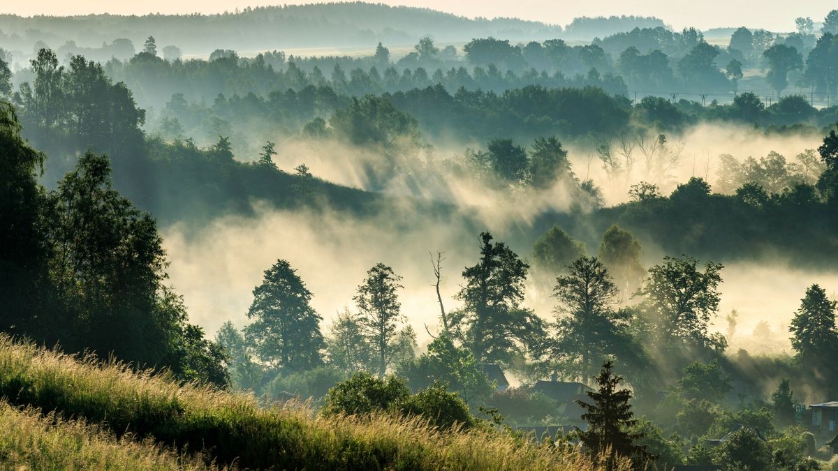 Okolice Lidzbarka Warmińskiego 