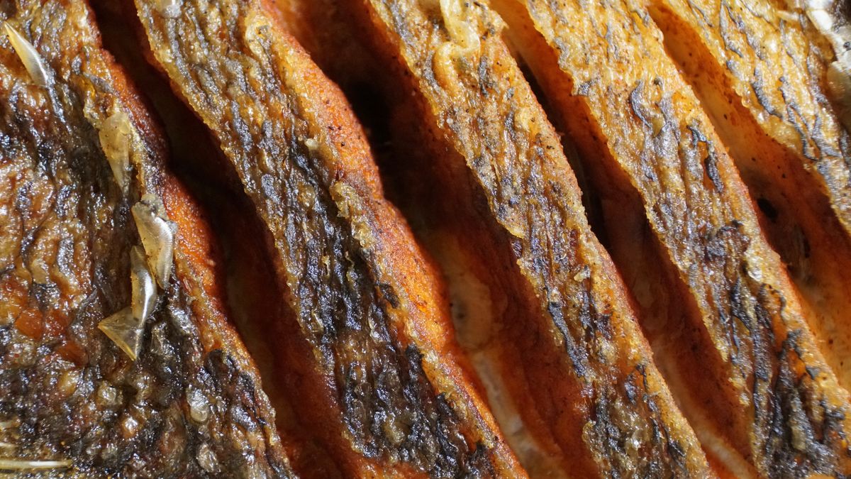 Tilapia to ryba zawierające rakotwórcze dioksyny