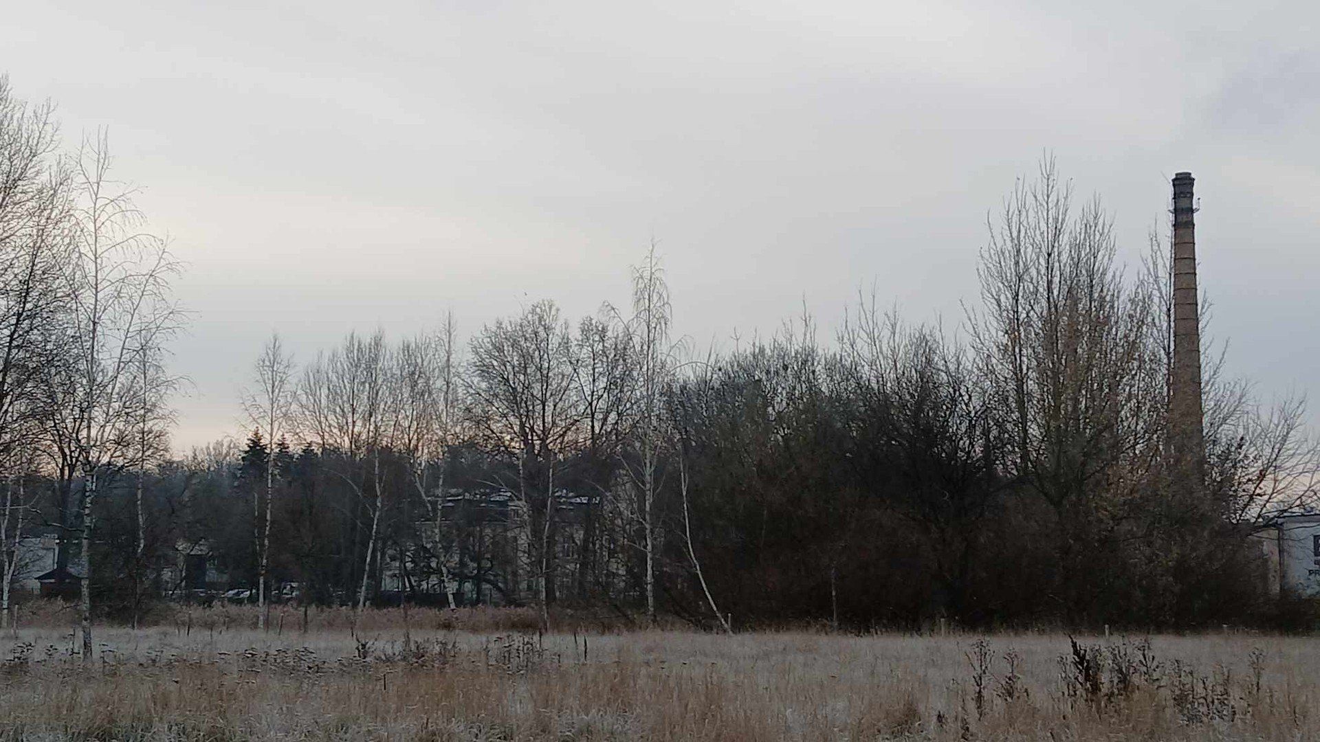 Park przy pałacu Hasbachów