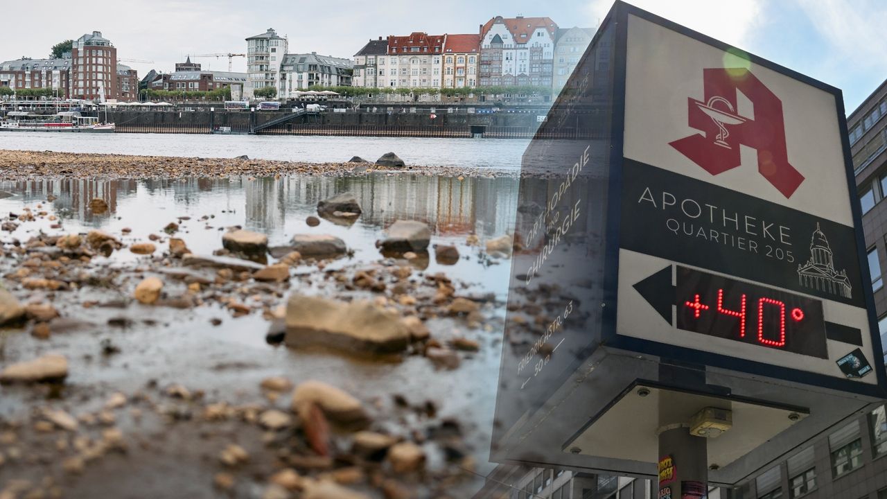 Rekordowe lato w Niemczech. Takich upałów jeszcze nie było