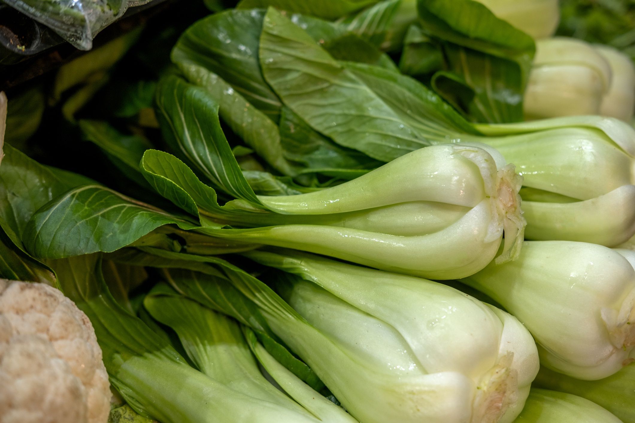 Pak choi