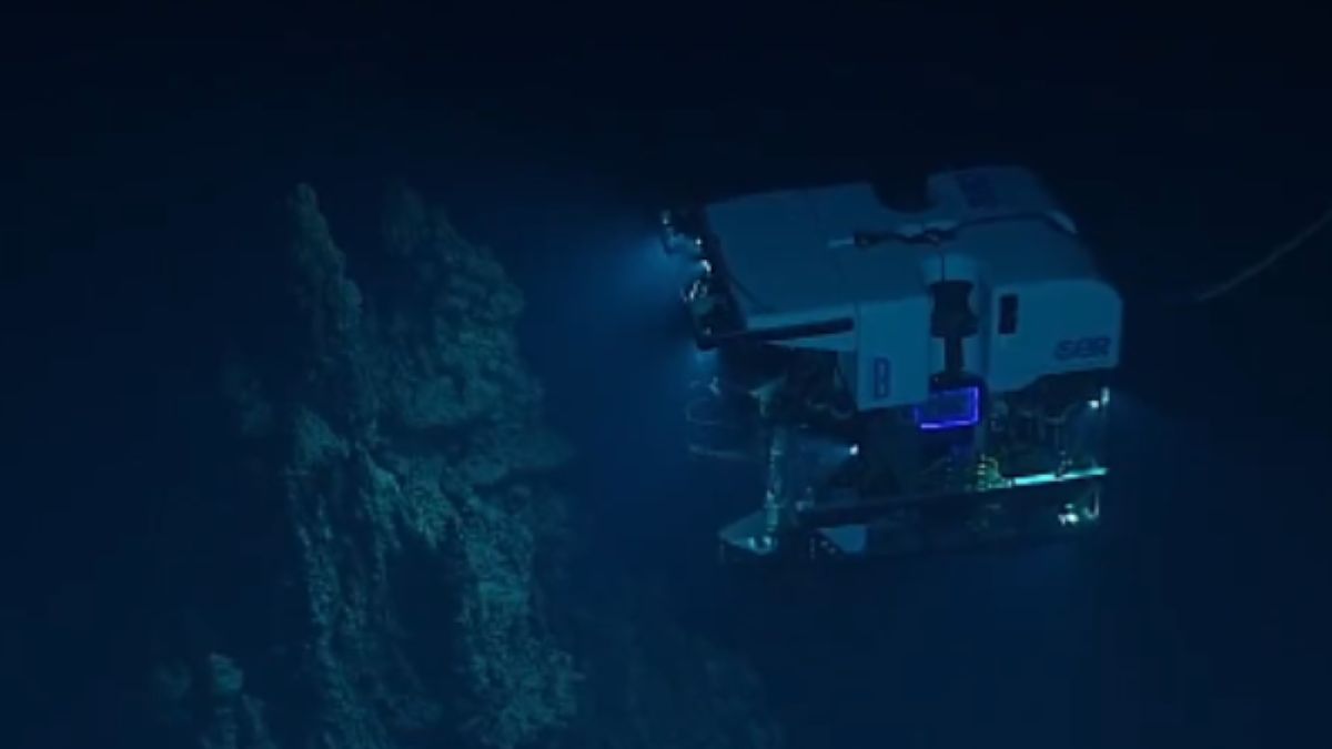 To znaleźli na dnie Rowu Marjańskiego