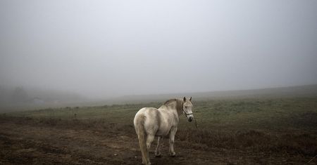 Spotkania przy kawie z Filipem Springerem