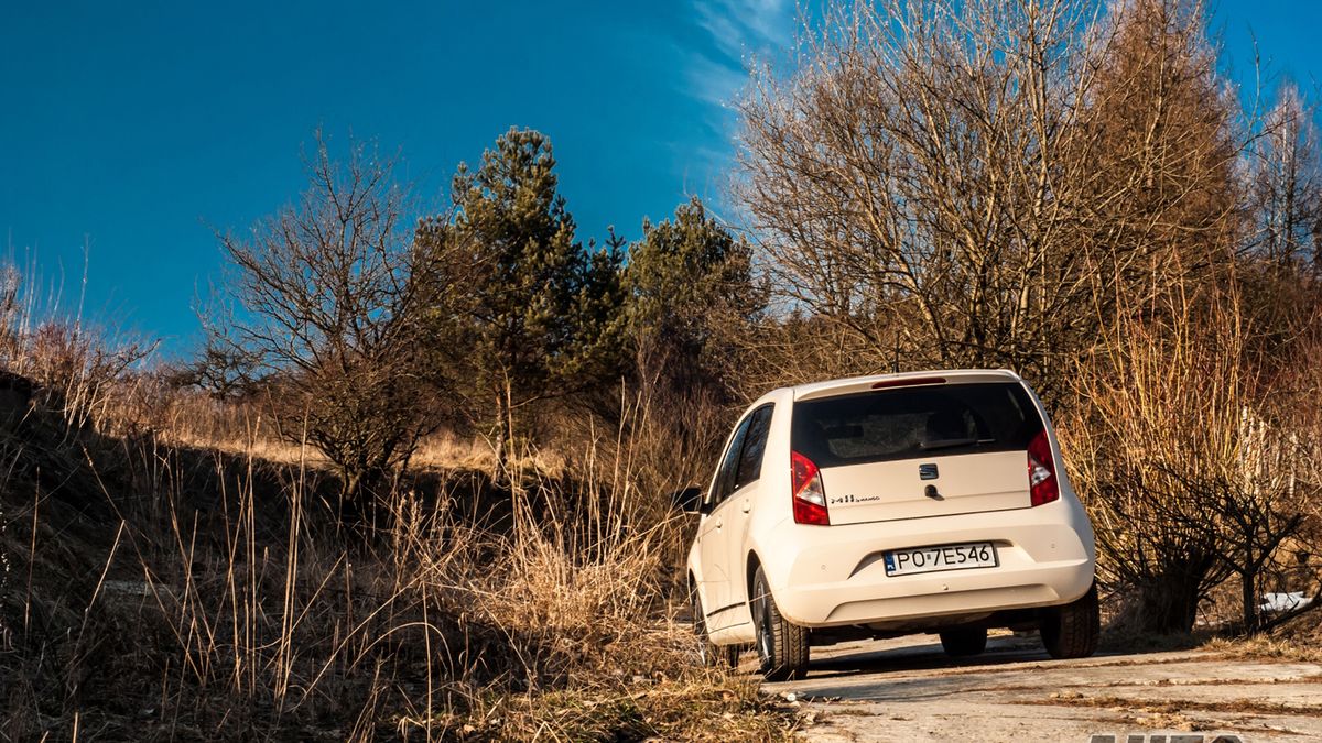 Zdjęcie ilustracyjne do artykułu