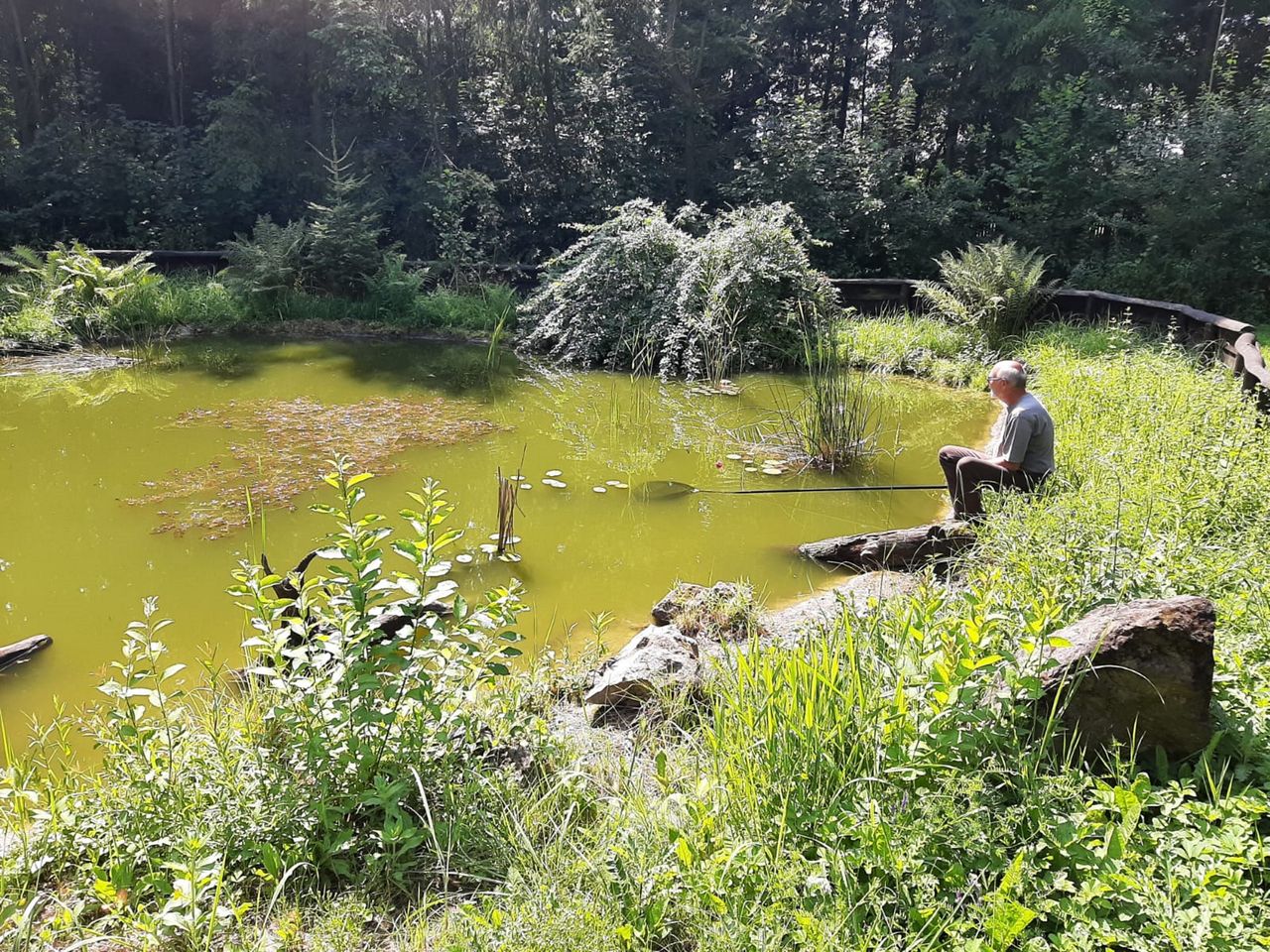 Poruszenie w Siewierzu. Sześć lat leśnicy czekali na to odkrycie