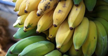 Różne oblicza banana