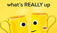 Agencja oS3 wygrała przetarg marki Lipton