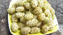 Naturalne wsparcie w walce z cukrzycą i otyłością. Morwę białą szczególnie doceniają w Azji