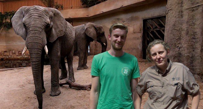 Warszawskie zoo zbada, czy konopie redukują stres u zwierząt (wideo)