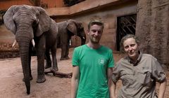 Warszawskie zoo zbada, czy konopie redukują stres u zwierząt (wideo)