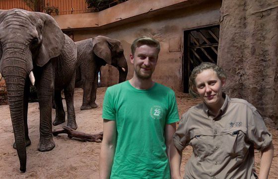 Warszawskie zoo zbada, czy konopie redukują stres u zwierząt (wideo)