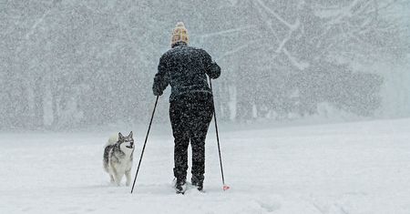 Już ponad 1300 odwołanych lotów. Potężna śnieżyca nadciąga nad Nowy Jork